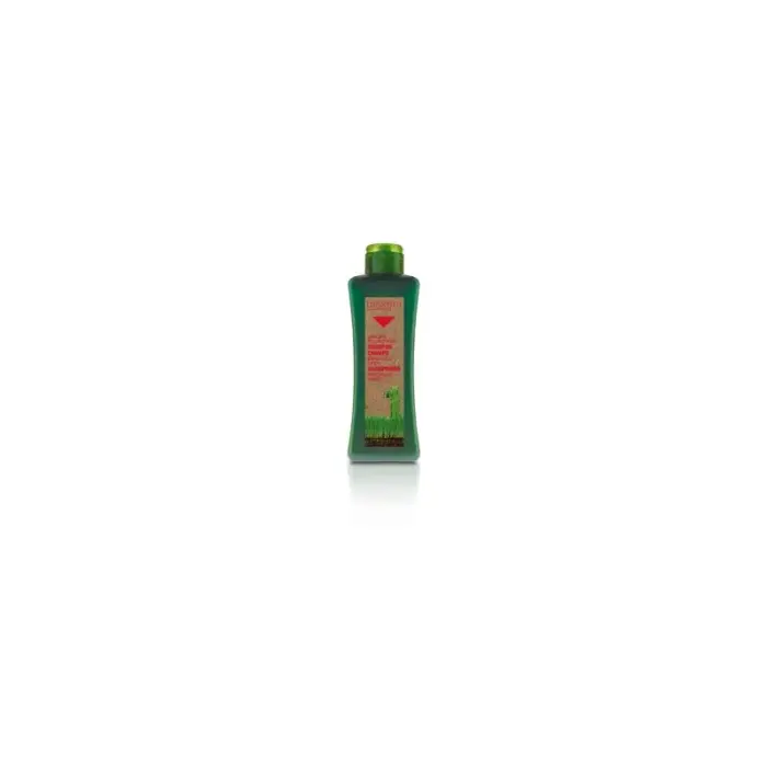 biokera shampooing anti chute 300ml